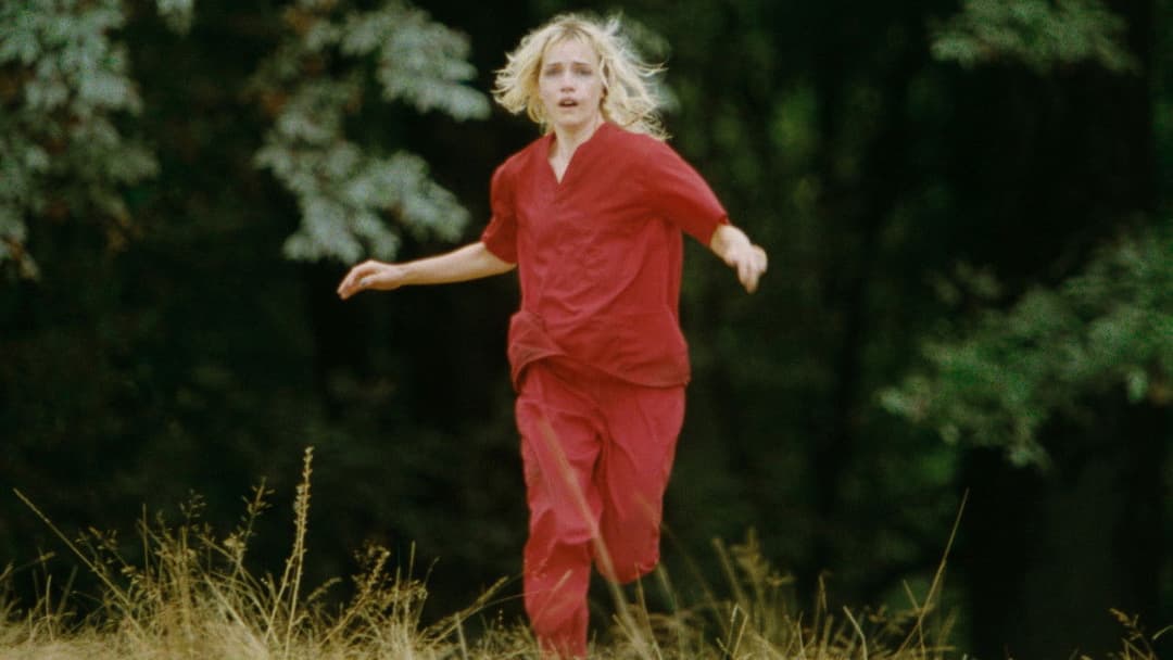 Переслідувач backdrop 8