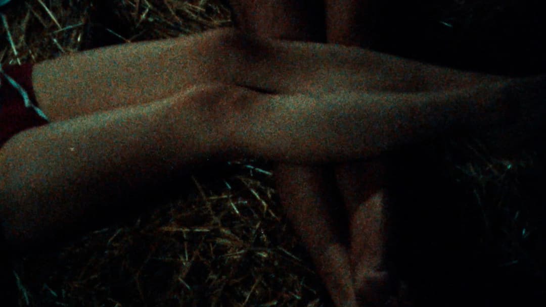 Dressed to's Song of Songs backdrop 15