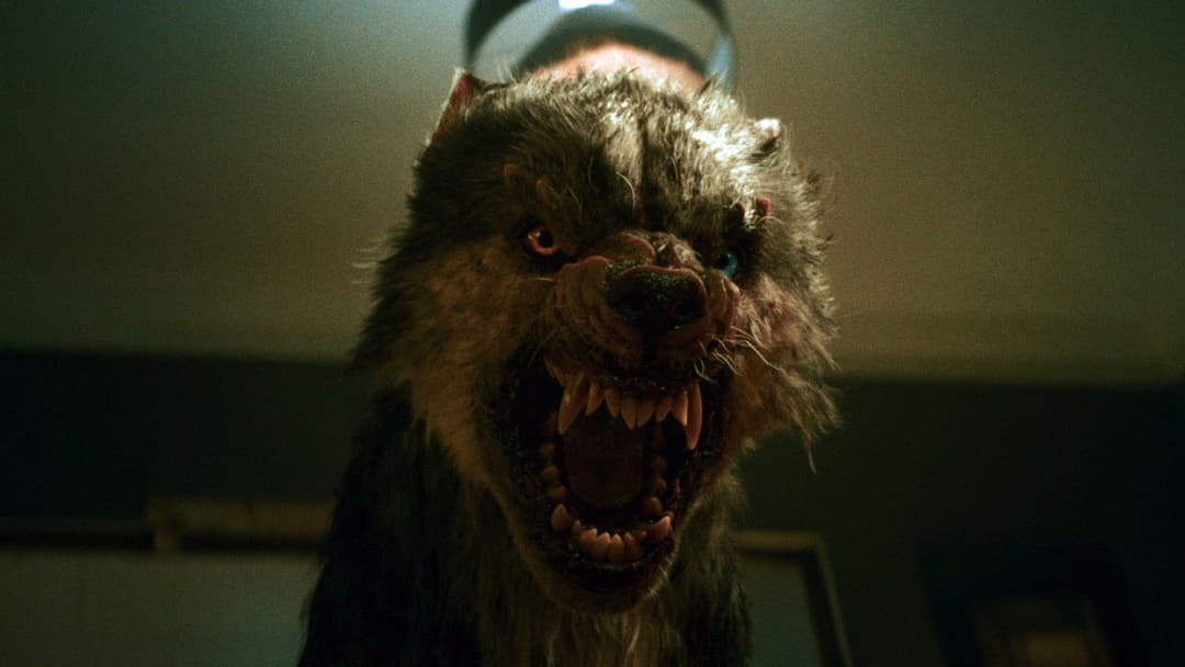 Viking Wolf backdrop 14