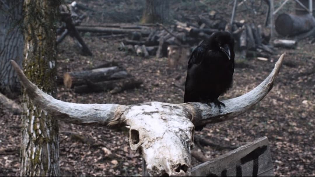 Tucker and Dale vs. Evil backdrop 9