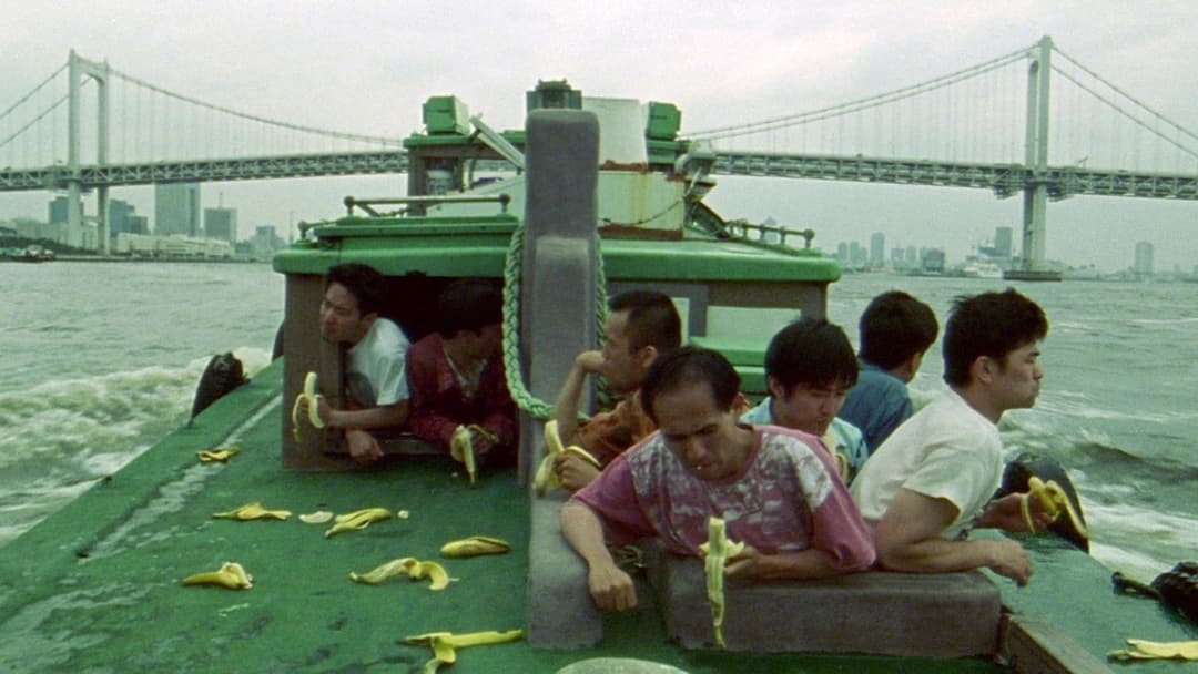 Dead or Alive backdrop 17