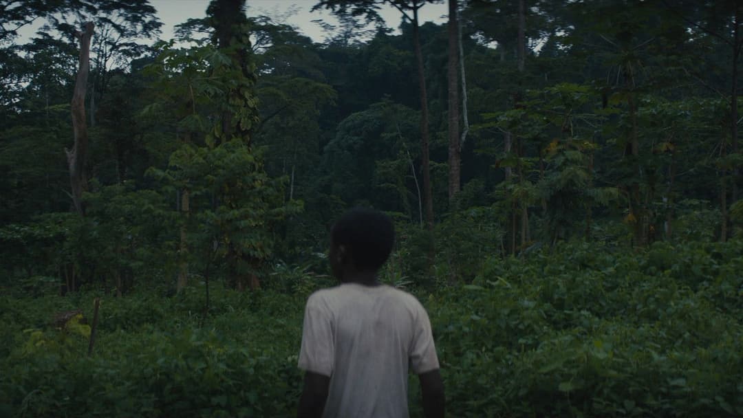 Beasts of No Nation backdrop 12