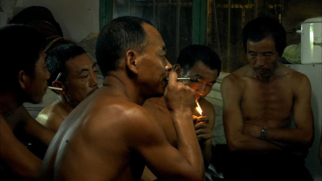 Still Life backdrop 1