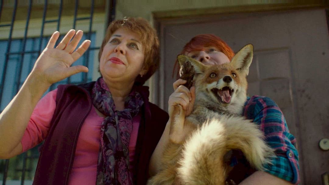 Der Tierstimmensammler oder Das Lied der Scheuen Stockente backdrop 4