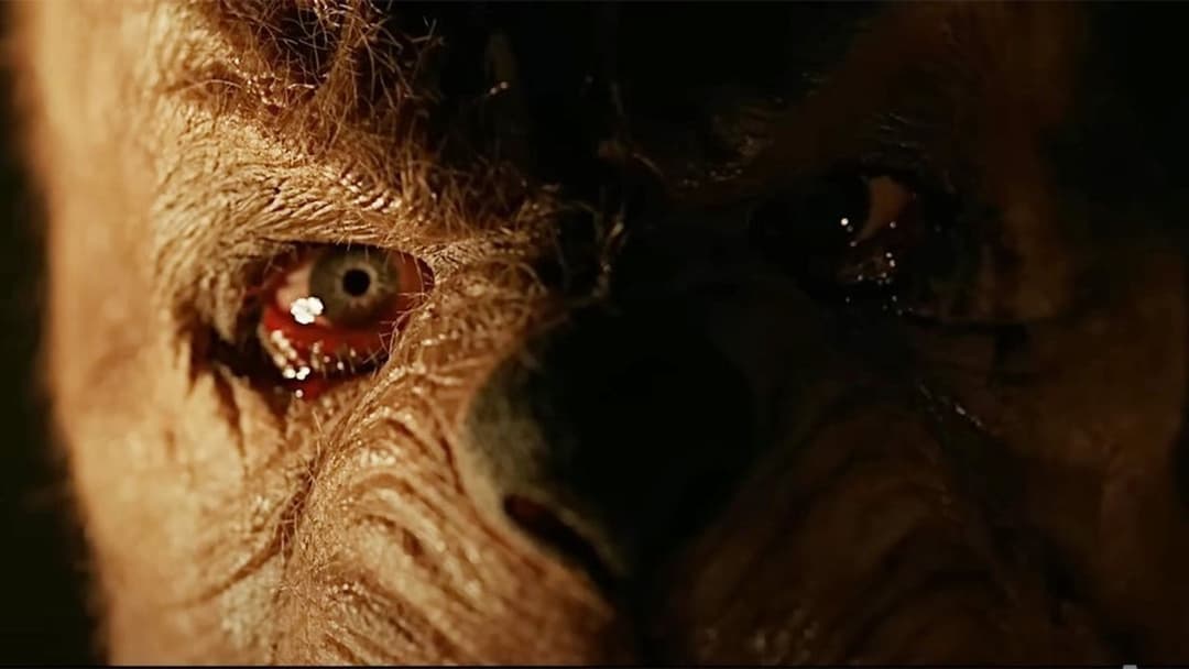 Вінні-Пух: Кров та Мед 2 backdrop 20