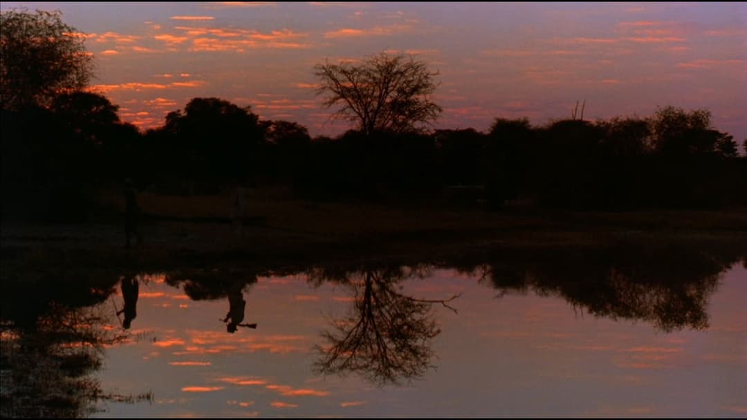 Білий мисливець, чорне серце backdrop 8