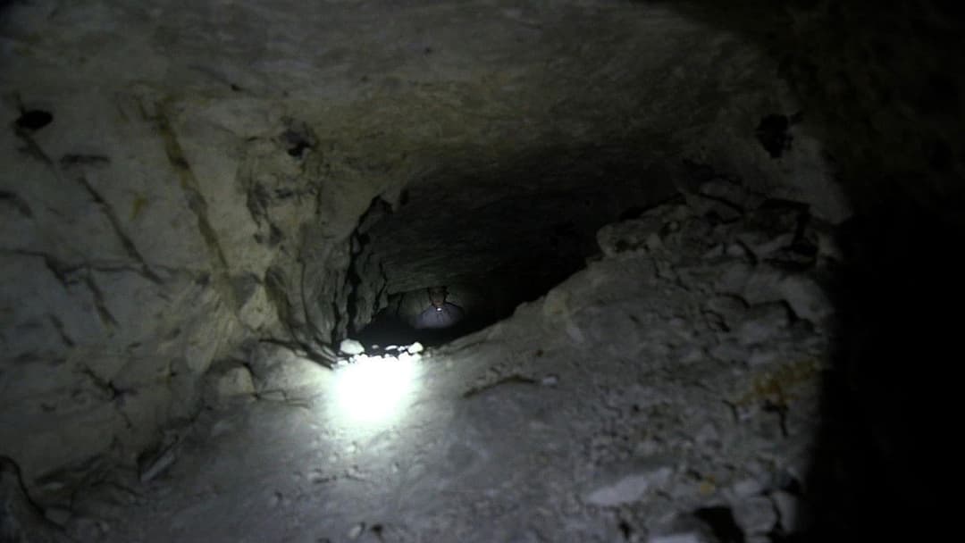 The Borderlands backdrop 2