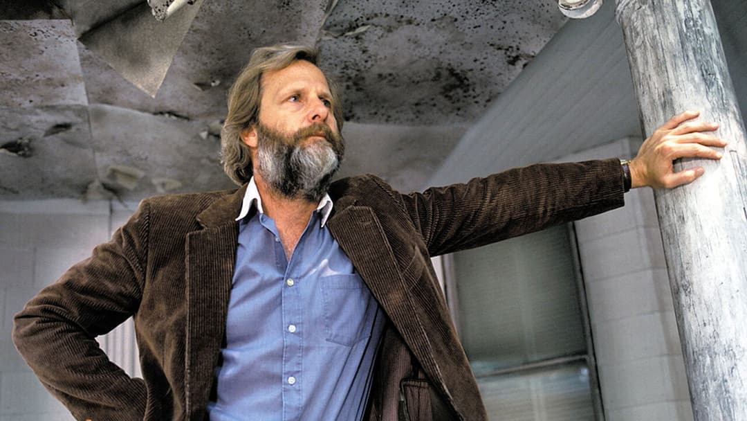 The Squid and the Whale backdrop 11