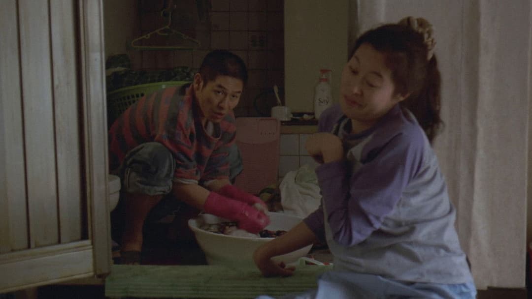 Оазис backdrop 4