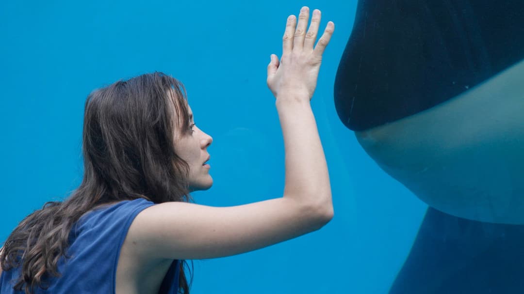 Rust and Bone backdrop 7