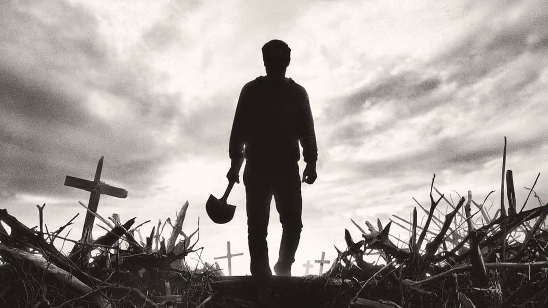 Friedhof der Kuscheltiere backdrop 14