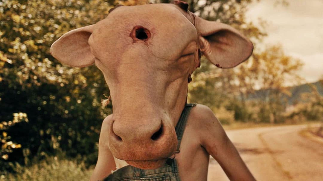 Шкіряне обличчя backdrop 8