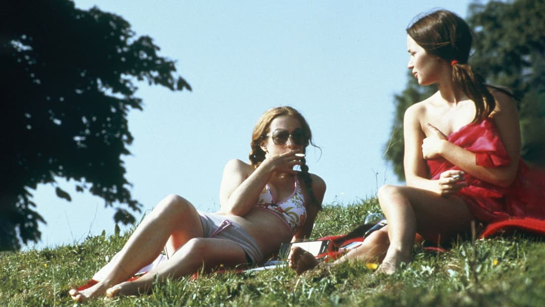 Моє літо кохання backdrop 20