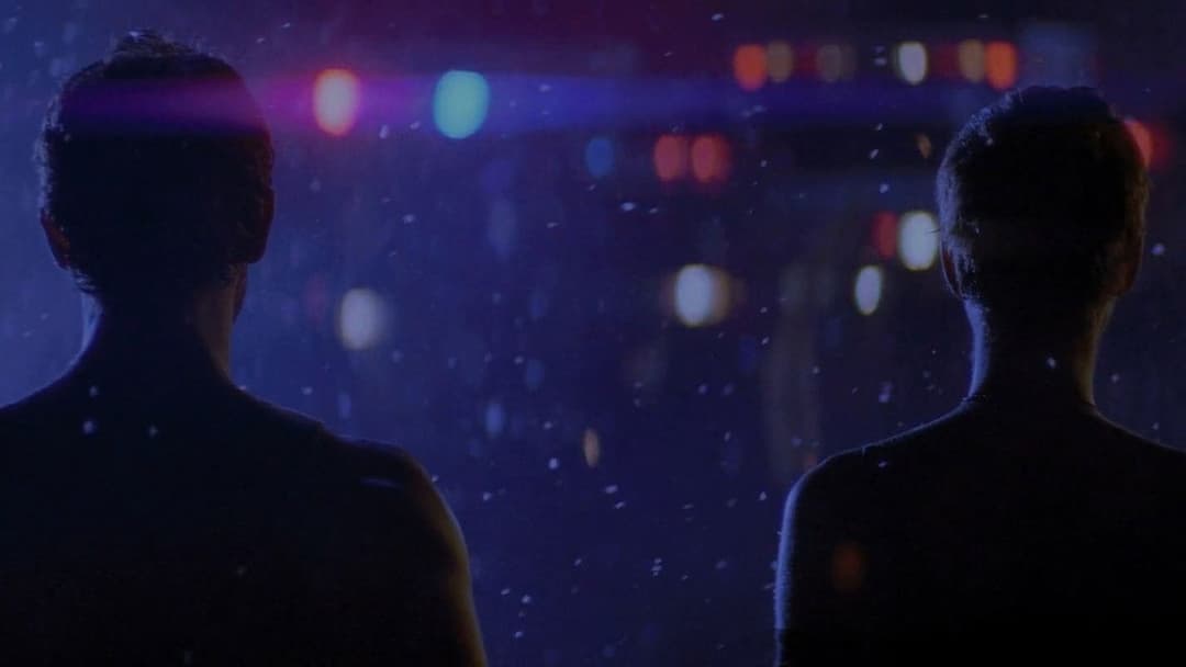 The Collection backdrop 9