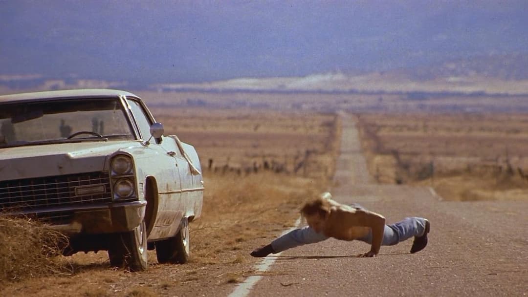 Red Rock West backdrop 4