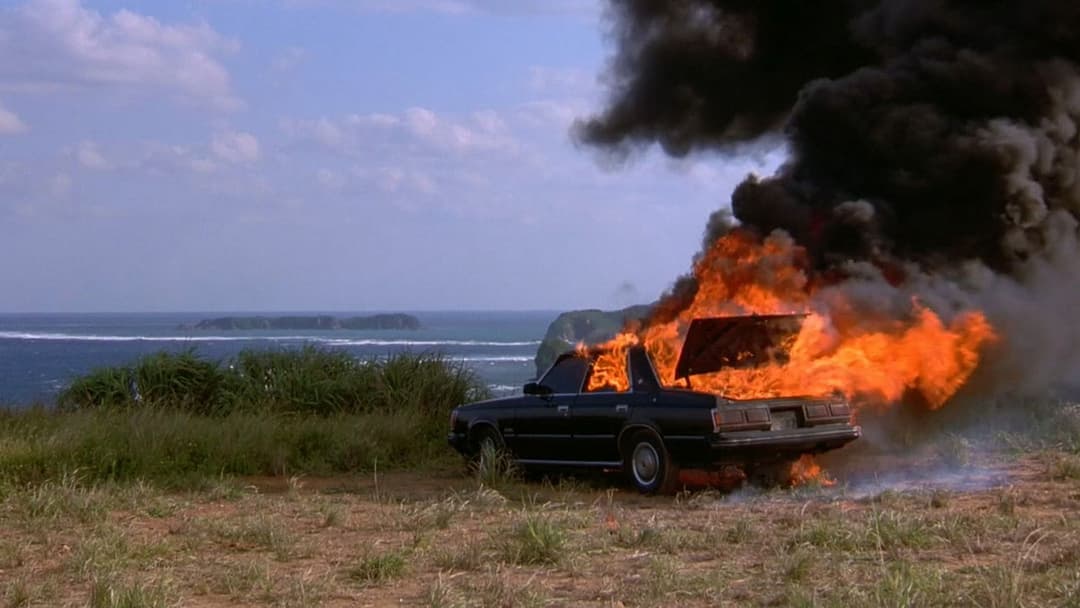 Сонатіна backdrop 10