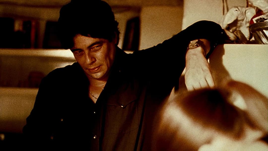 Трафік backdrop 14