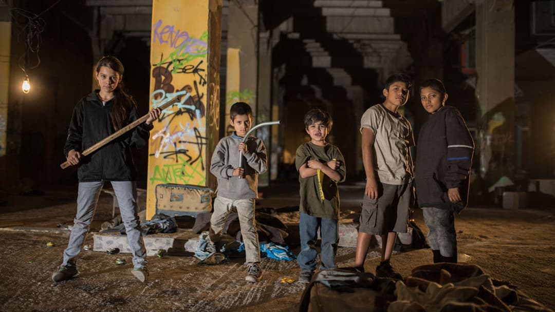 Tigers Are Not Afraid backdrop 15