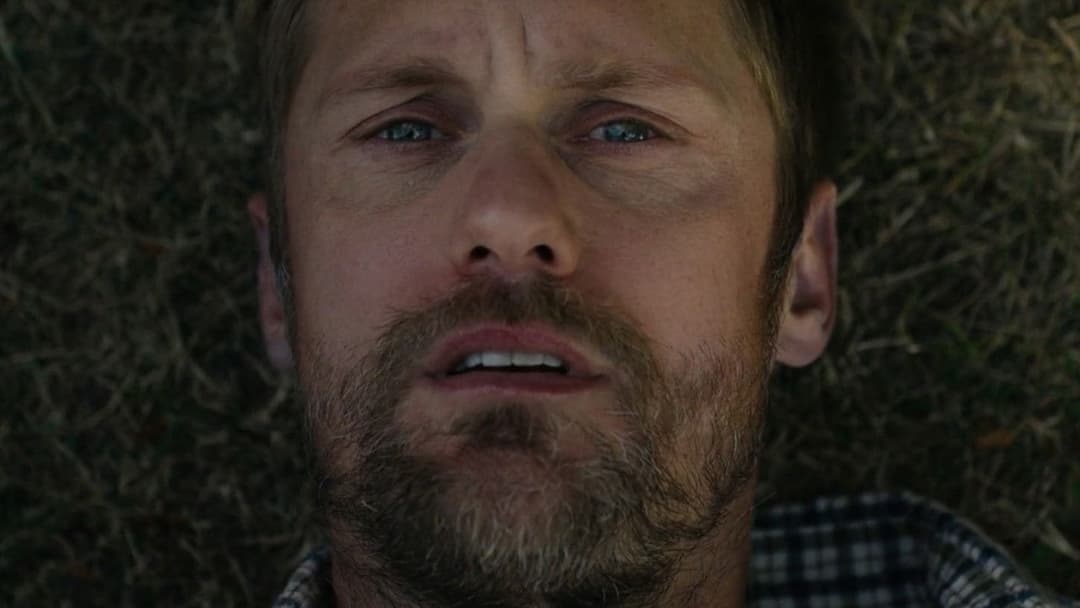 Пілліон backdrop 20