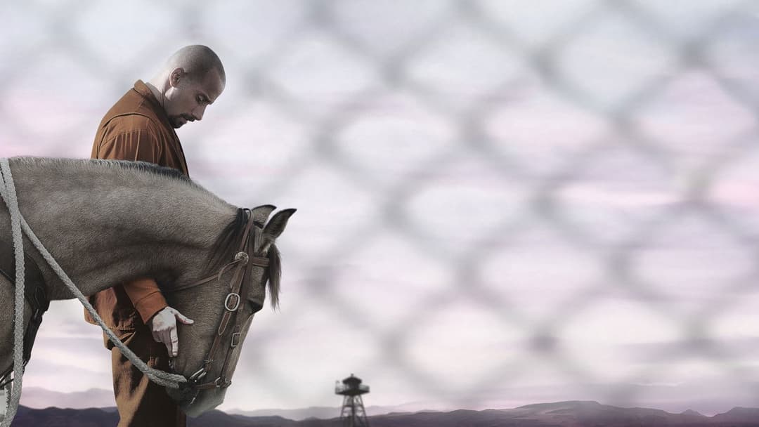 The Mustang backdrop 10