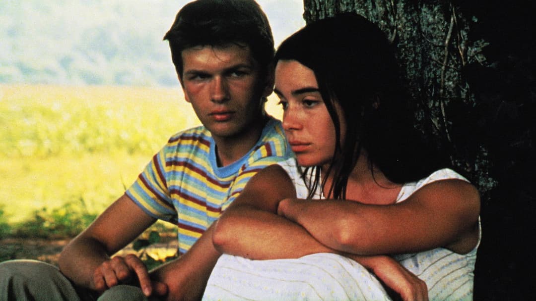 Wilde Herzen backdrop 4