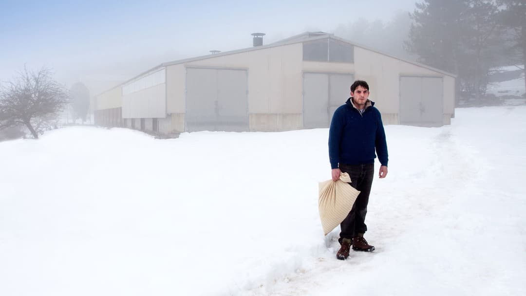 Only the Animals backdrop 8