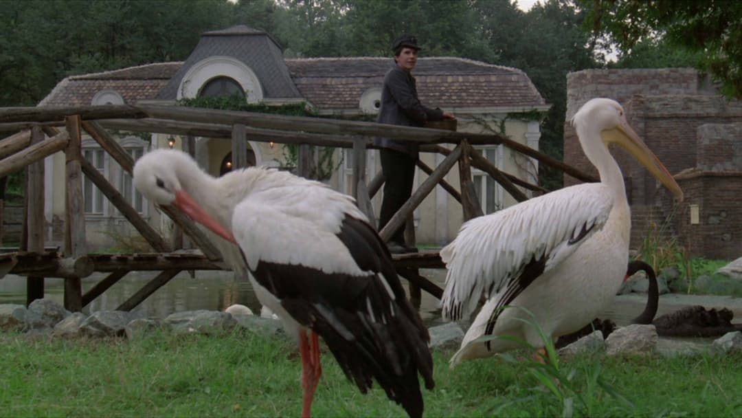 Underground backdrop 20