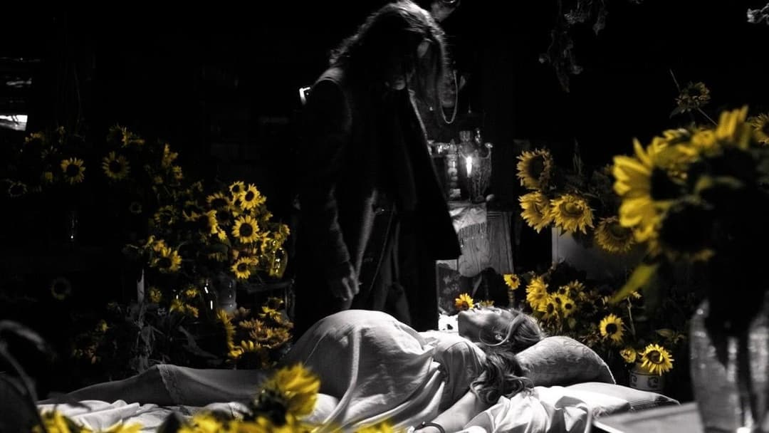 Curse of Chucky backdrop 11