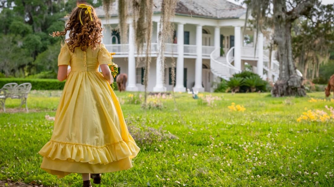 Antebellum backdrop 16