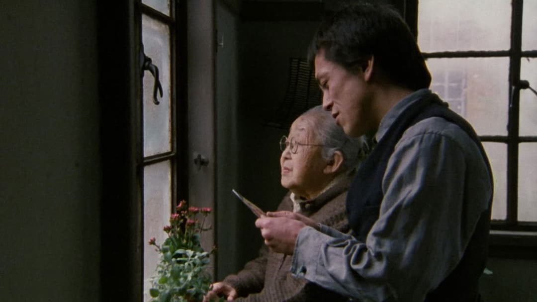 Після життя backdrop 16