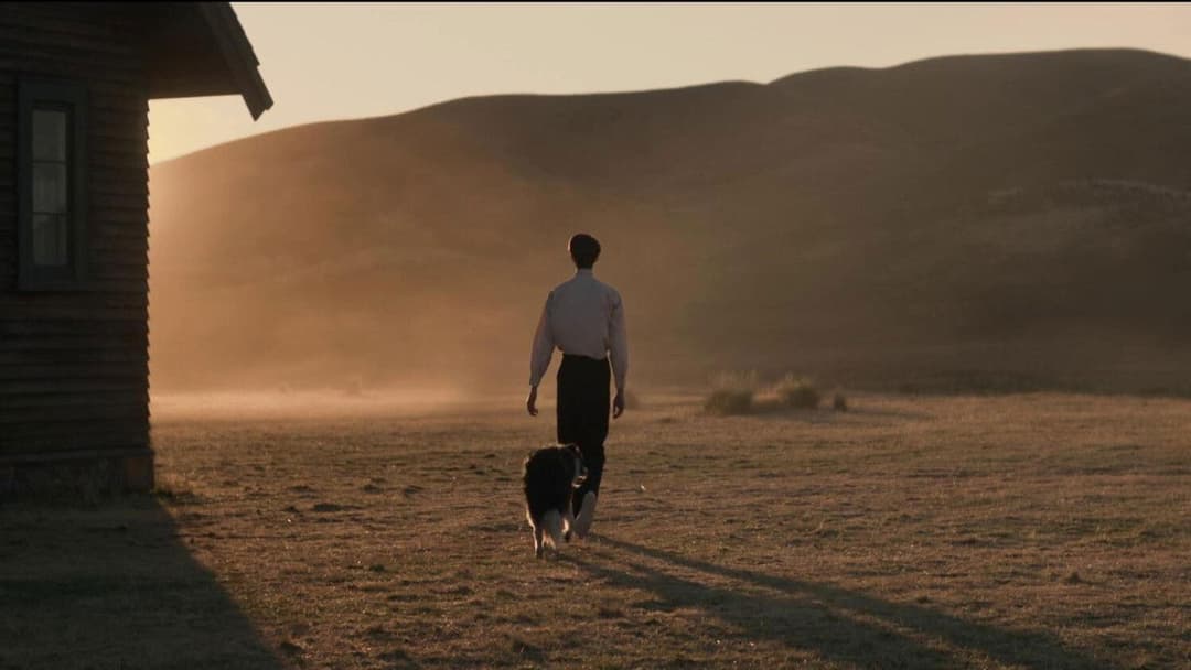 The Power of the Dog backdrop 14