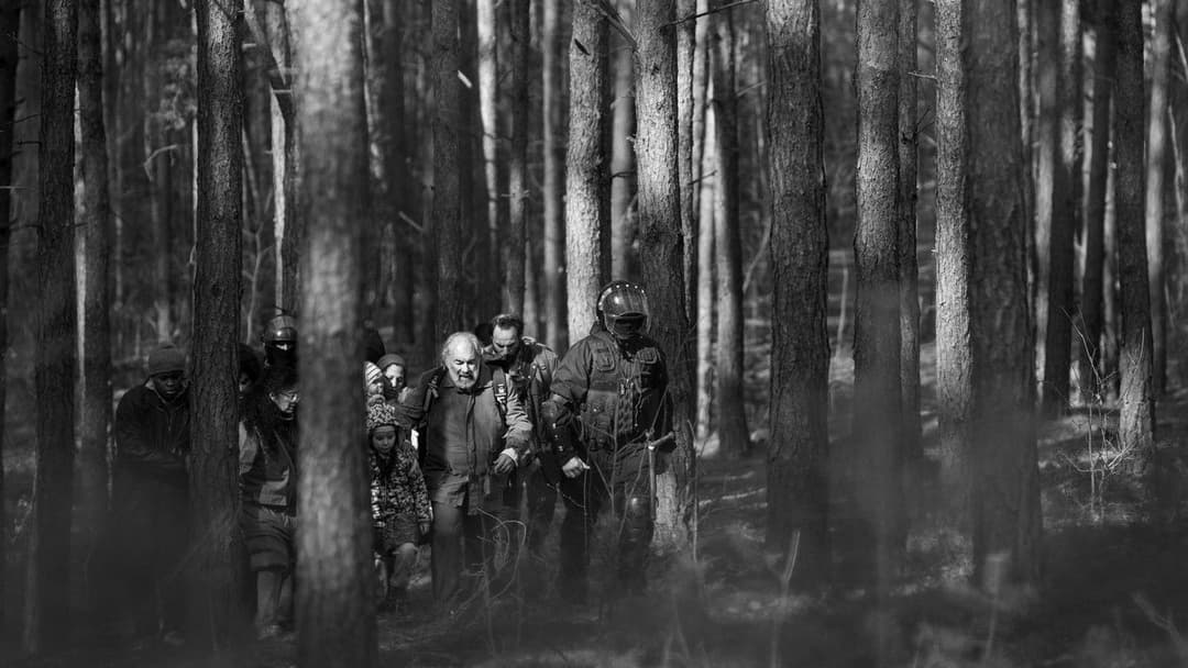 Зелений кордон backdrop 5