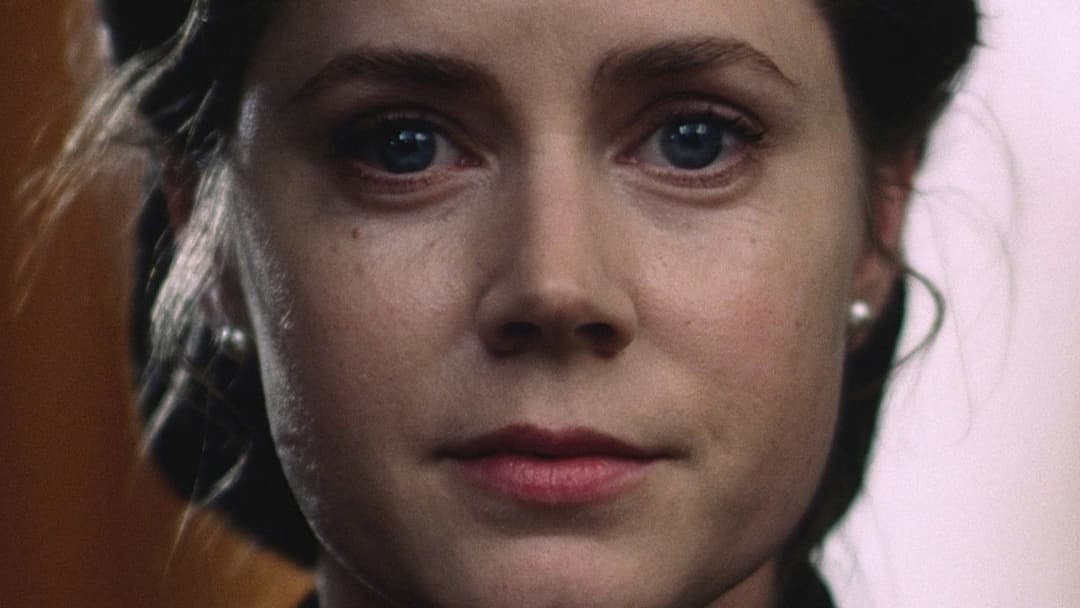 Майстер backdrop 8