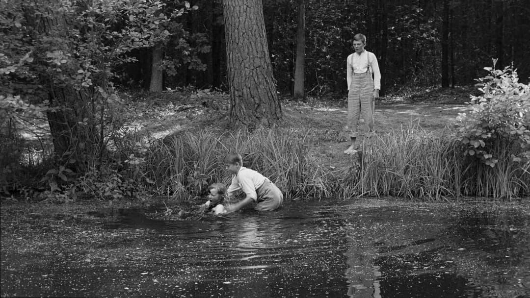 Das weiße Band - Eine deutsche Kindergeschichte backdrop 14