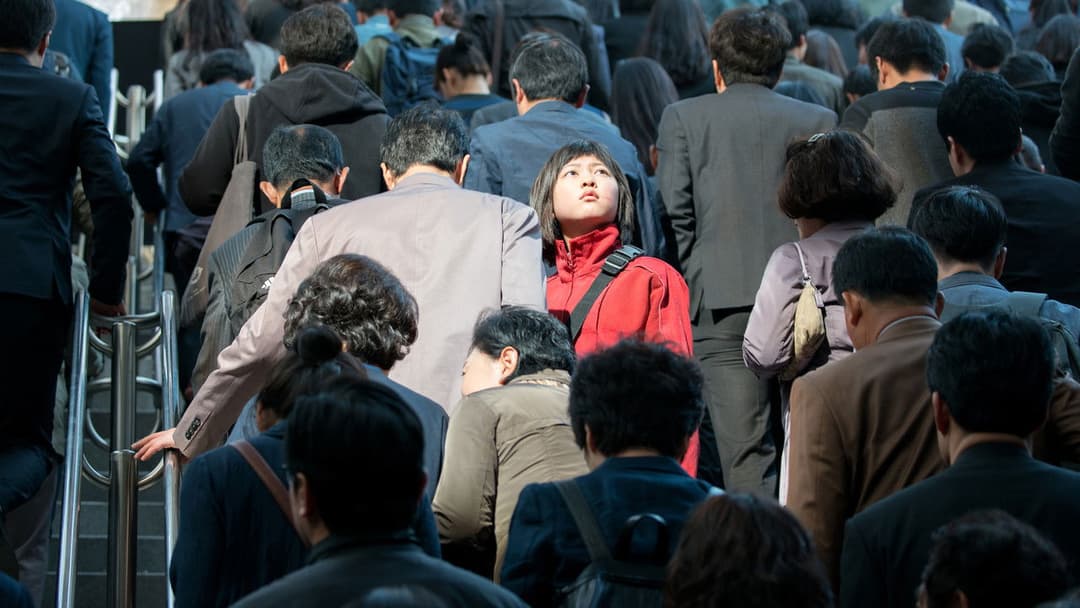 Окча backdrop 20