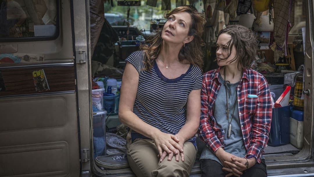 Таллула backdrop 8