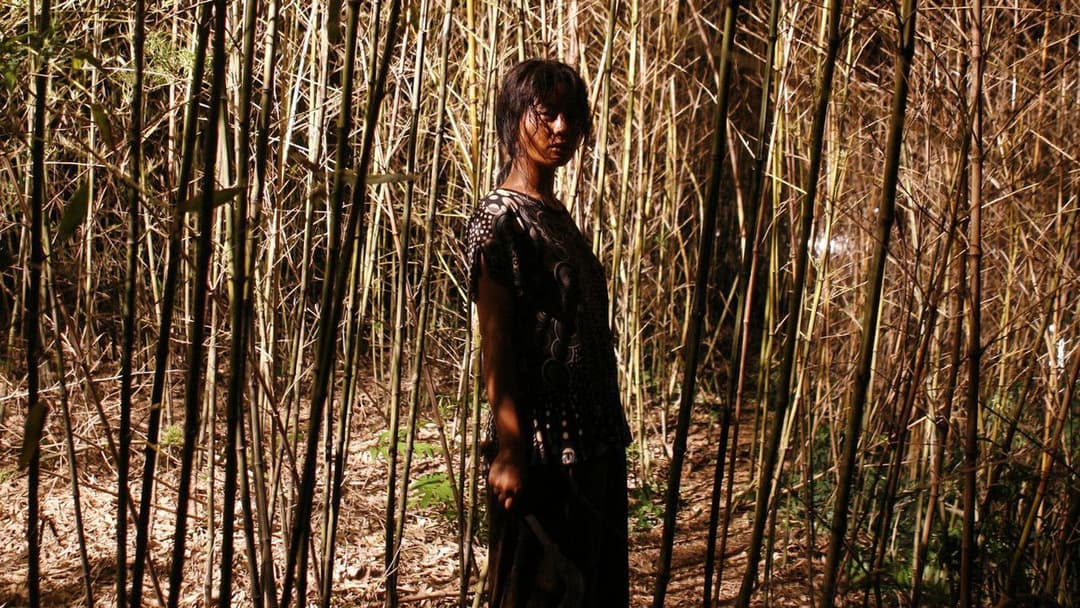 Bedevilled backdrop 13