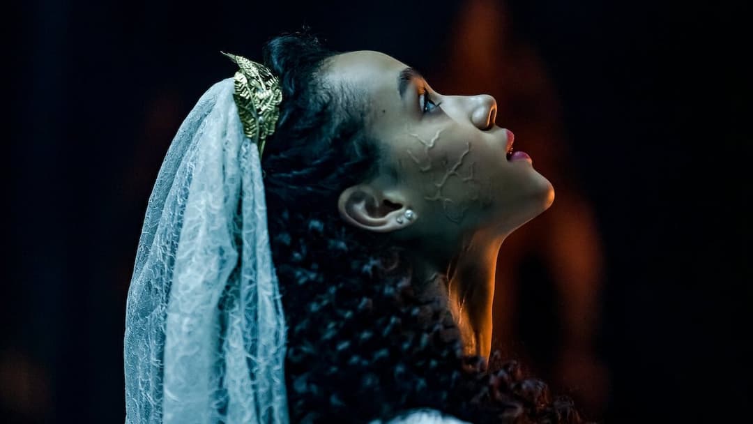 The Invitation backdrop 7