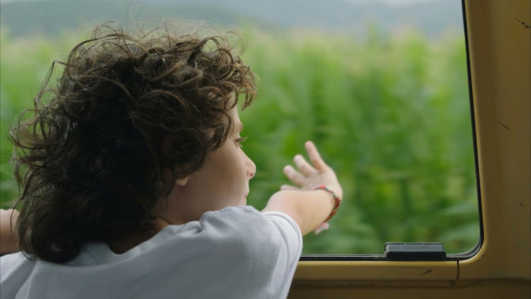 Fridas Sommer backdrop 4