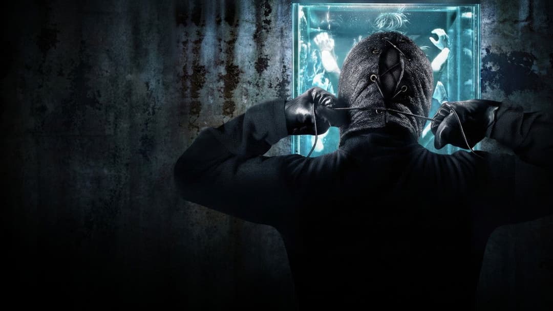 The Collection backdrop 1