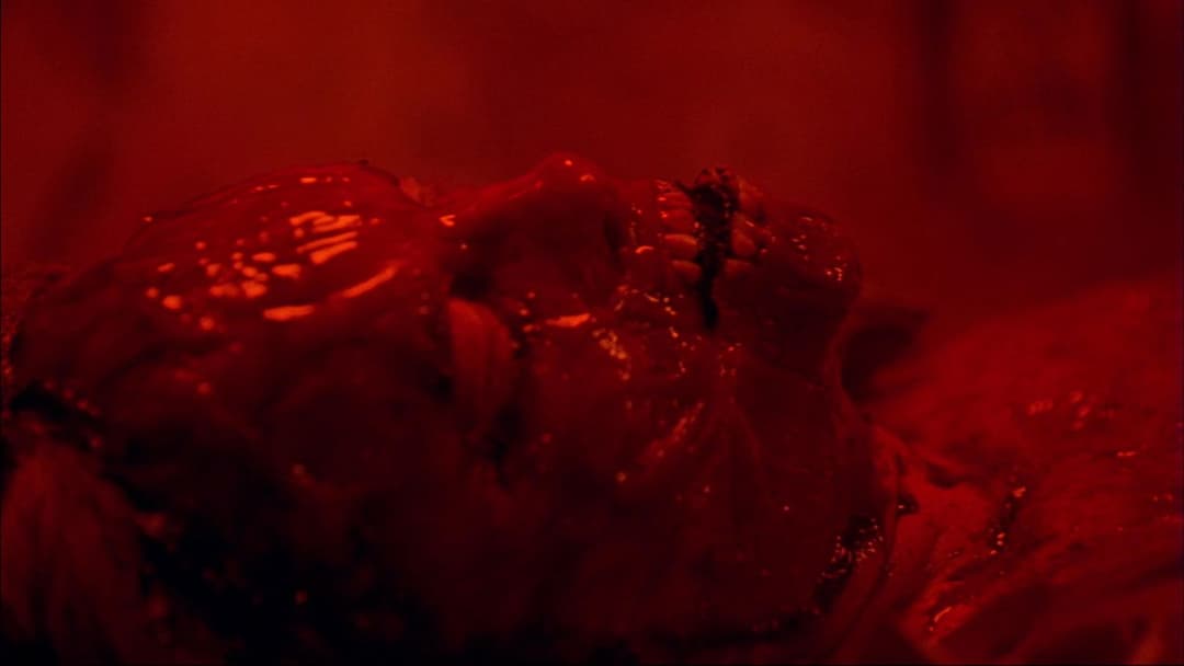 Будинок тисячі трупів backdrop 10