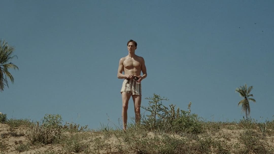 Квір backdrop 17