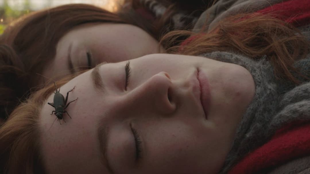 Byzantium backdrop 14