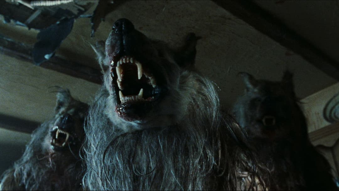 Dog Soldiers backdrop 11