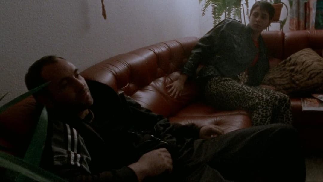 Дилер backdrop 9