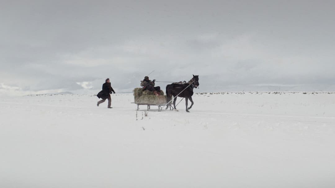Auf trockenen Gräsern backdrop 17