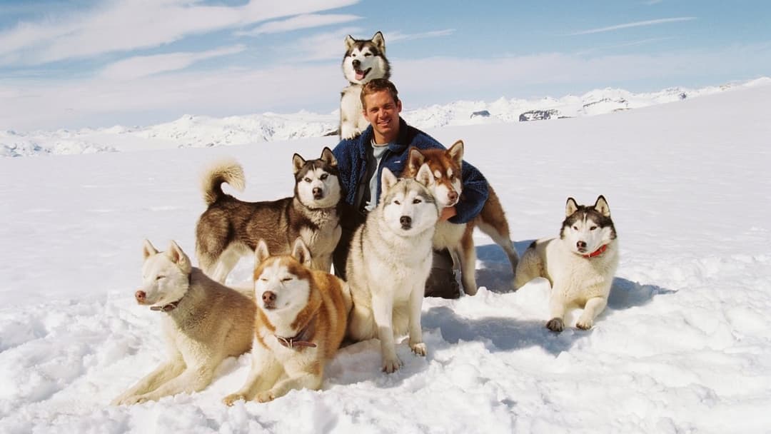 Eight Below backdrop 2