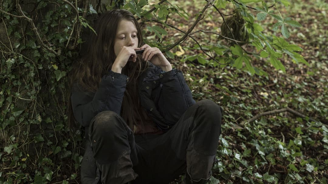 Виживальник backdrop 15