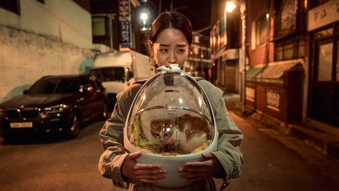 Following backdrop 10