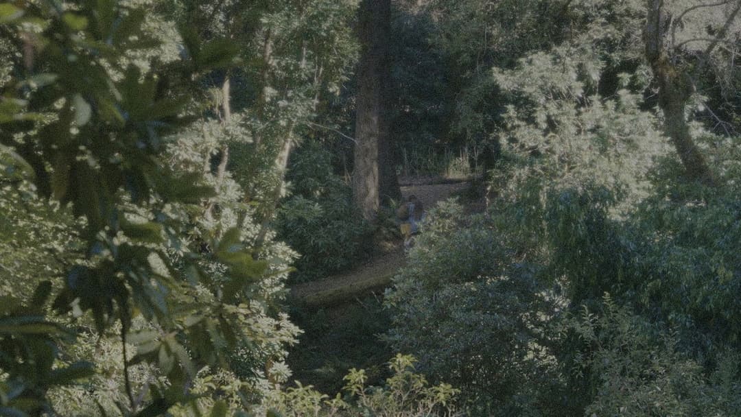 Together - Unzertrennlich backdrop 19